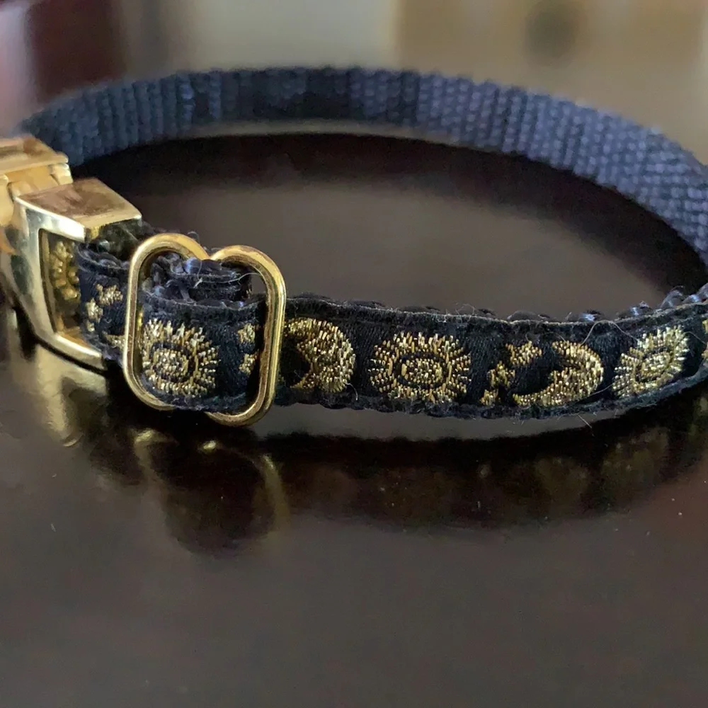 New Collar for Cat